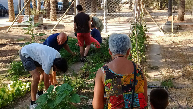 Hort Urbà al Raval