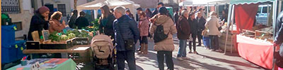 Taula Informativa al Mercat Ecològic