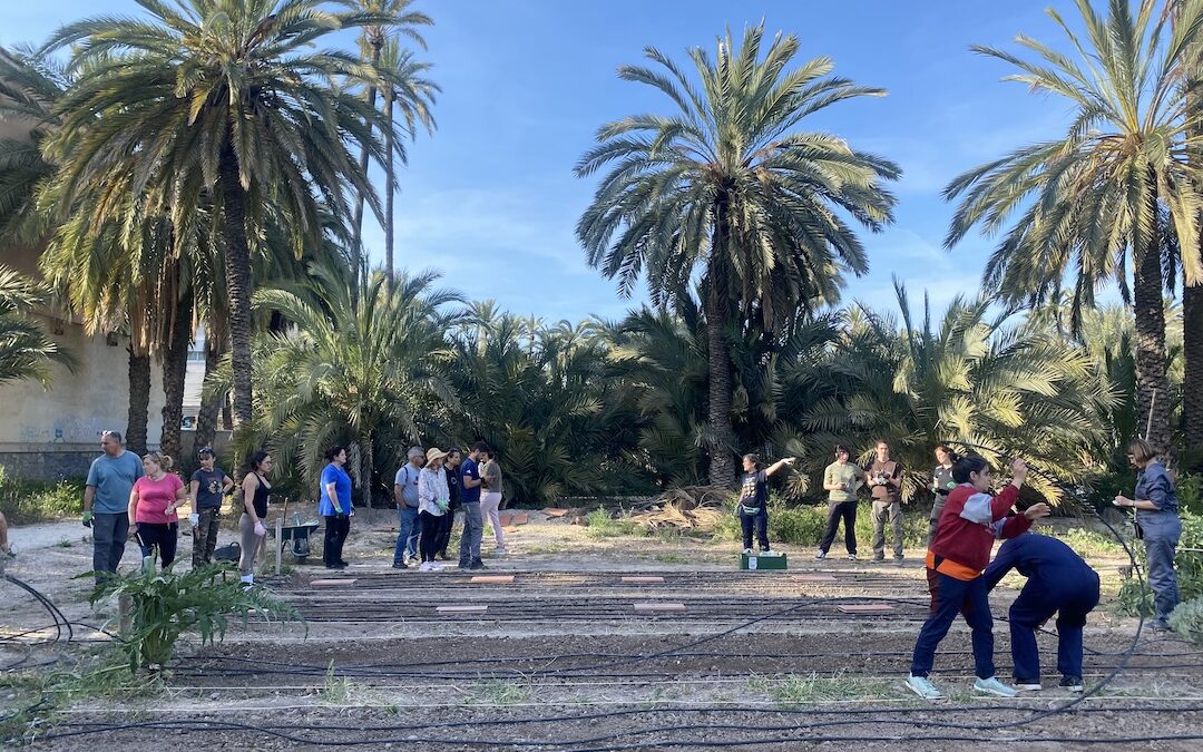 Curs d’iniciació a l’AGRICULTURA ECOLÒGICA